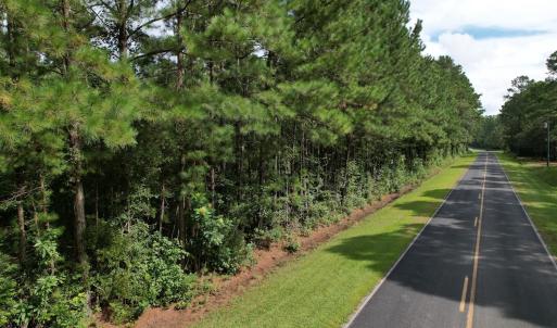 Photo #4 of 624 Dismal Road, Hallsboro, NC 32.2 acres