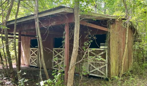 Photo #7 of 624 Dismal Road, Hallsboro, NC 32.2 acres