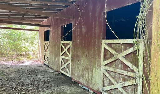 Photo #8 of 624 Dismal Road, Hallsboro, NC 32.2 acres