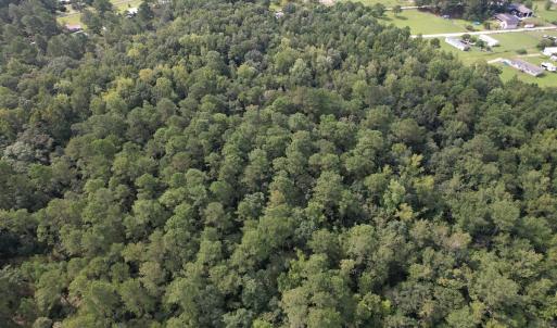 Photo #22 of 624 Dismal Road, Hallsboro, NC 32.2 acres