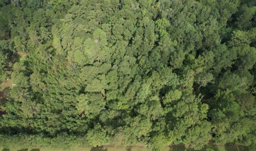 Photo #23 of 624 Dismal Road, Hallsboro, NC 32.2 acres