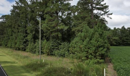 Photo #24 of 624 Dismal Road, Hallsboro, NC 32.2 acres