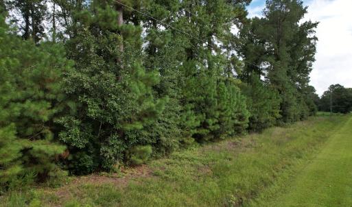 Photo #25 of 624 Dismal Road, Hallsboro, NC 32.2 acres