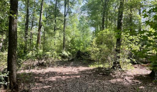 Photo #29 of 624 Dismal Road, Hallsboro, NC 32.2 acres