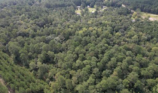 Photo #30 of 624 Dismal Road, Hallsboro, NC 32.2 acres