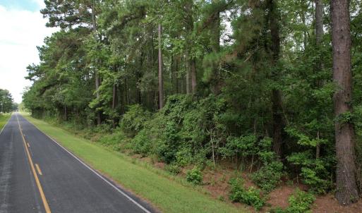 Photo #33 of 624 Dismal Road, Hallsboro, NC 32.2 acres