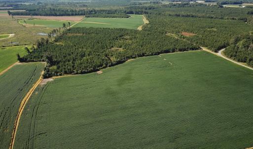 Photo #1 of 132 Acres Beale Rd, Newsoms, VA 132.0 acres