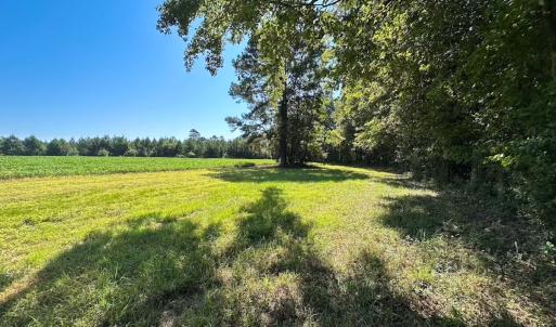 Photo #3 of 132 Acres Beale Rd, Newsoms, VA 132.0 acres