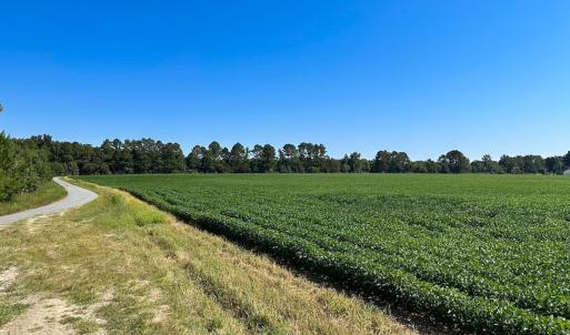 Photo #6 of 132 Acres Beale Rd, Newsoms, VA 132.0 acres