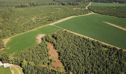 Photo #7 of 132 Acres Beale Rd, Newsoms, VA 132.0 acres