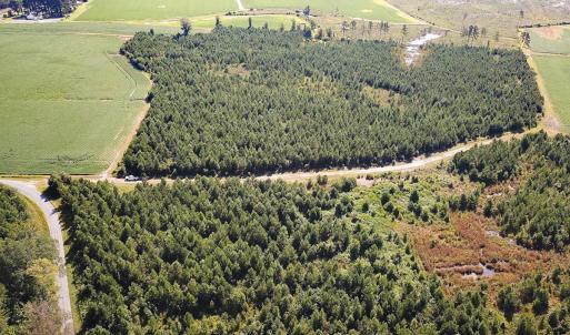 Photo #9 of 132 Acres Beale Rd, Newsoms, VA 132.0 acres