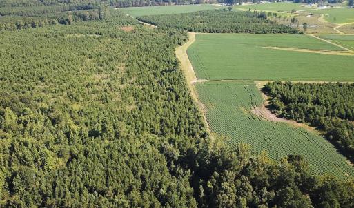 Photo #16 of 132 Acres Beale Rd, Newsoms, VA 132.0 acres