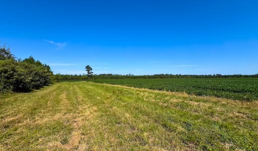 Photo #21 of 132 Acres Beale Rd, Newsoms, VA 132.0 acres