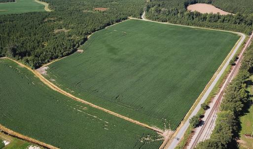 Photo #22 of 132 Acres Beale Rd, Newsoms, VA 132.0 acres