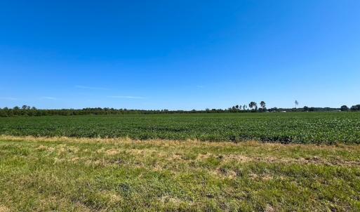 Photo #23 of 132 Acres Beale Rd, Newsoms, VA 132.0 acres
