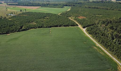 Photo #24 of 132 Acres Beale Rd, Newsoms, VA 132.0 acres