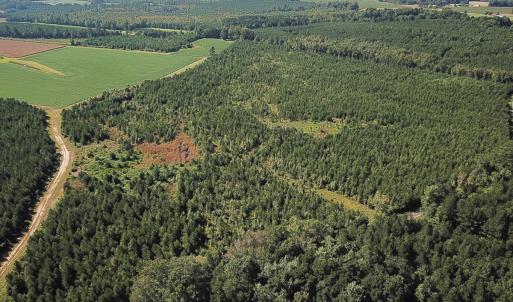 Photo #26 of 132 Acres Beale Rd, Newsoms, VA 132.0 acres