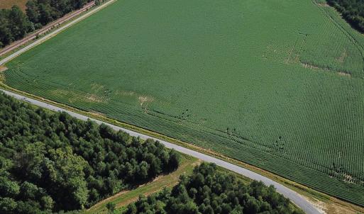 Photo #28 of 132 Acres Beale Rd, Newsoms, VA 132.0 acres