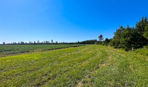 Photo #29 of 132 Acres Beale Rd, Newsoms, VA 132.0 acres