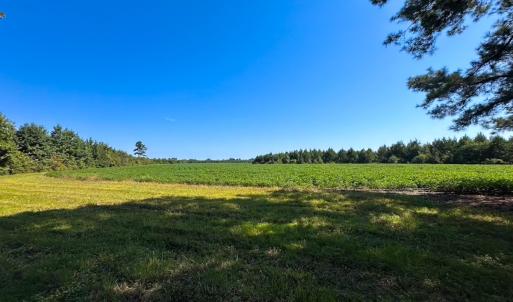 Photo #30 of 132 Acres Beale Rd, Newsoms, VA 132.0 acres