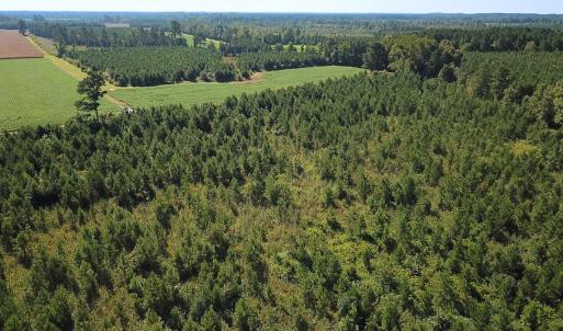 Photo #31 of 132 Acres Beale Rd, Newsoms, VA 132.0 acres