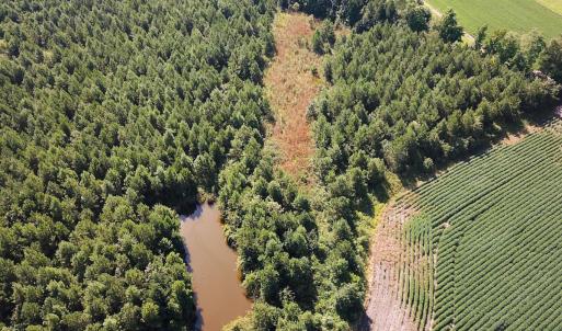 Photo #33 of 132 Acres Beale Rd, Newsoms, VA 132.0 acres