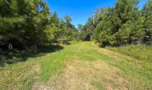 Photo #34 of 132 Acres Beale Rd, Newsoms, VA 132.0 acres