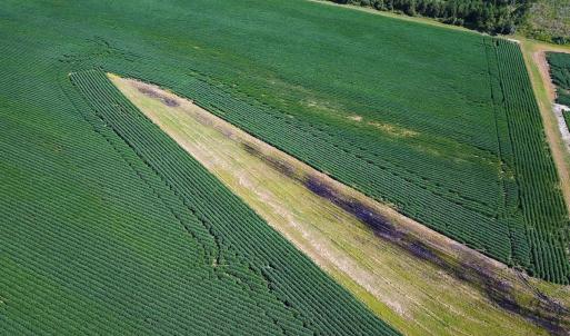 Photo #35 of 132 Acres Beale Rd, Newsoms, VA 132.0 acres