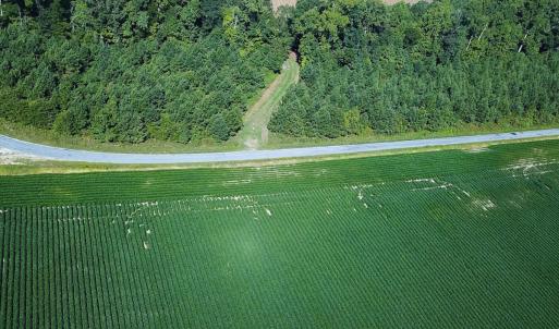 Photo #37 of 132 Acres Beale Rd, Newsoms, VA 132.0 acres