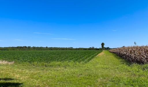 Photo #38 of 132 Acres Beale Rd, Newsoms, VA 132.0 acres