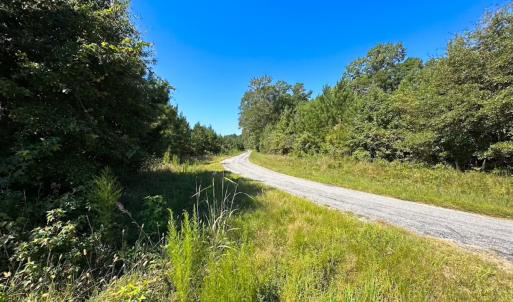 Photo #39 of 132 Acres Beale Rd, Newsoms, VA 132.0 acres