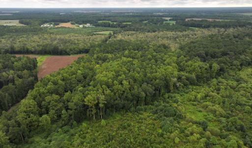 Photo #10 of Off Stocking Head Road, Rose Hills, NC 74.8 acres