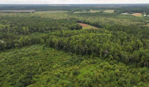 Photo #11 of Off Stocking Head Road, Rose Hills, NC 74.8 acres