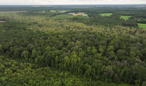 Photo #12 of Off Stocking Head Road, Rose Hills, NC 74.8 acres