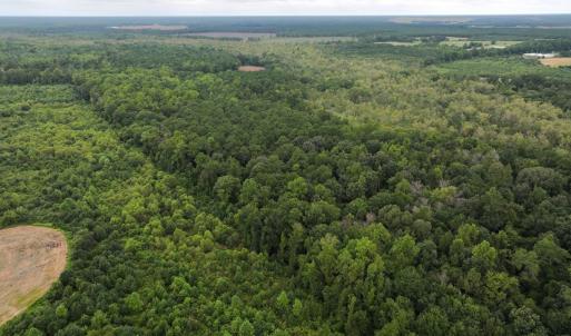 Photo #13 of Off Stocking Head Road, Rose Hills, NC 74.8 acres