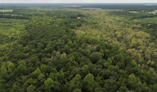 Photo #14 of Off Stocking Head Road, Rose Hills, NC 74.8 acres