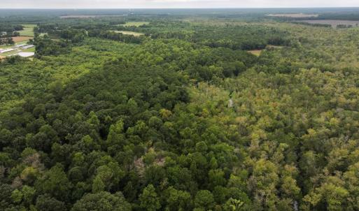 Photo #15 of Off Stocking Head Road, Rose Hills, NC 74.8 acres