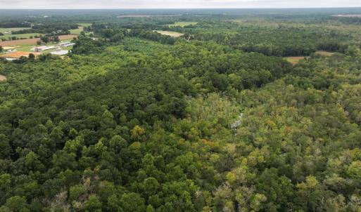 Photo #16 of Off Stocking Head Road, Rose Hills, NC 74.8 acres