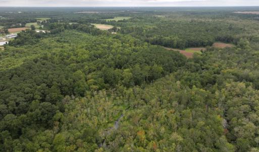 Photo #17 of Off Stocking Head Road, Rose Hills, NC 74.8 acres