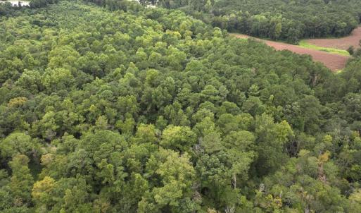 Photo #18 of Off Stocking Head Road, Rose Hills, NC 74.8 acres