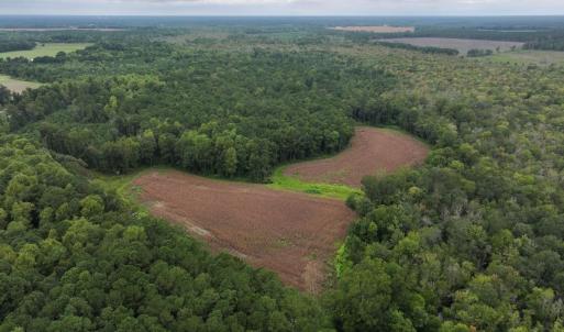 Photo #19 of Off Stocking Head Road, Rose Hills, NC 74.8 acres