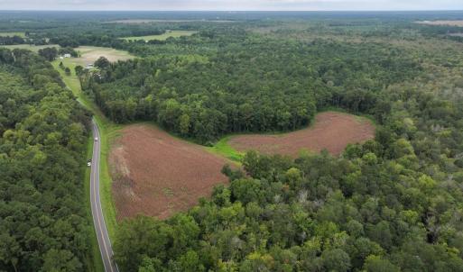 Photo #1 of Off Stocking Head Road, Rose Hills, NC 74.8 acres