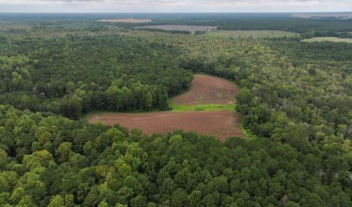 Photo #20 of Off Stocking Head Road, Rose Hills, NC 74.8 acres