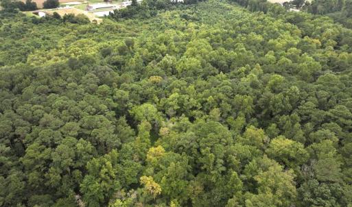 Photo #21 of Off Stocking Head Road, Rose Hills, NC 74.8 acres