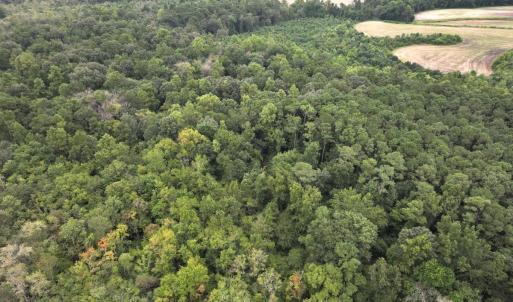 Photo #22 of Off Stocking Head Road, Rose Hills, NC 74.8 acres