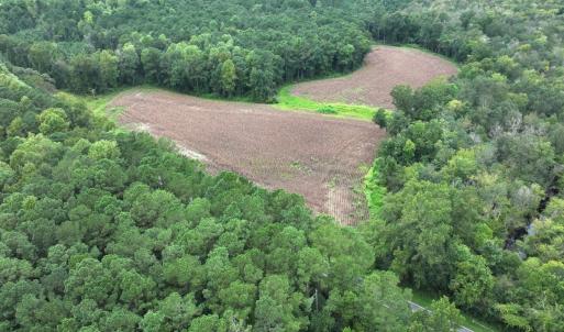 Photo #23 of Off Stocking Head Road, Rose Hills, NC 74.8 acres