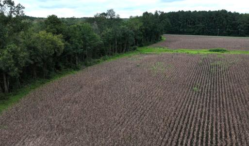Photo #26 of Off Stocking Head Road, Rose Hills, NC 74.8 acres