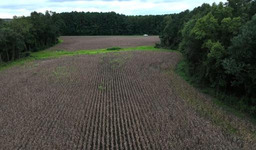 Photo #27 of Off Stocking Head Road, Rose Hills, NC 74.8 acres