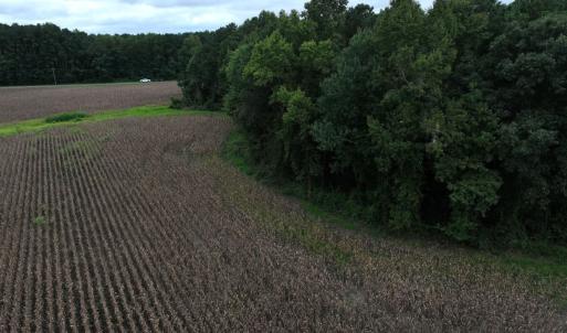 Photo #28 of Off Stocking Head Road, Rose Hills, NC 74.8 acres