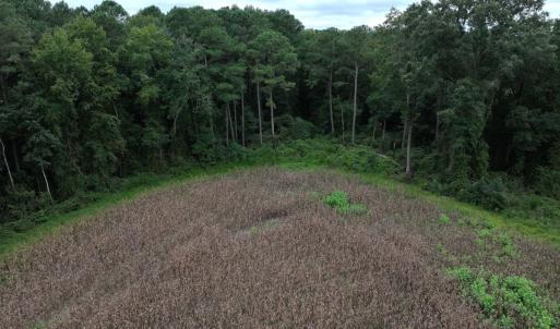Photo #29 of Off Stocking Head Road, Rose Hills, NC 74.8 acres